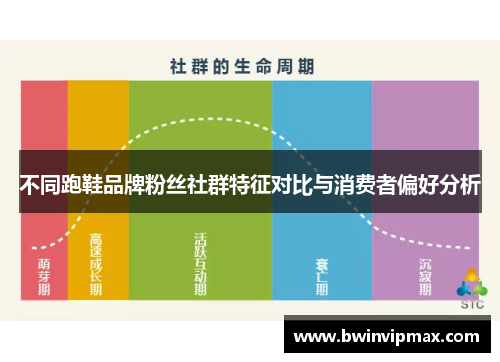 不同跑鞋品牌粉丝社群特征对比与消费者偏好分析